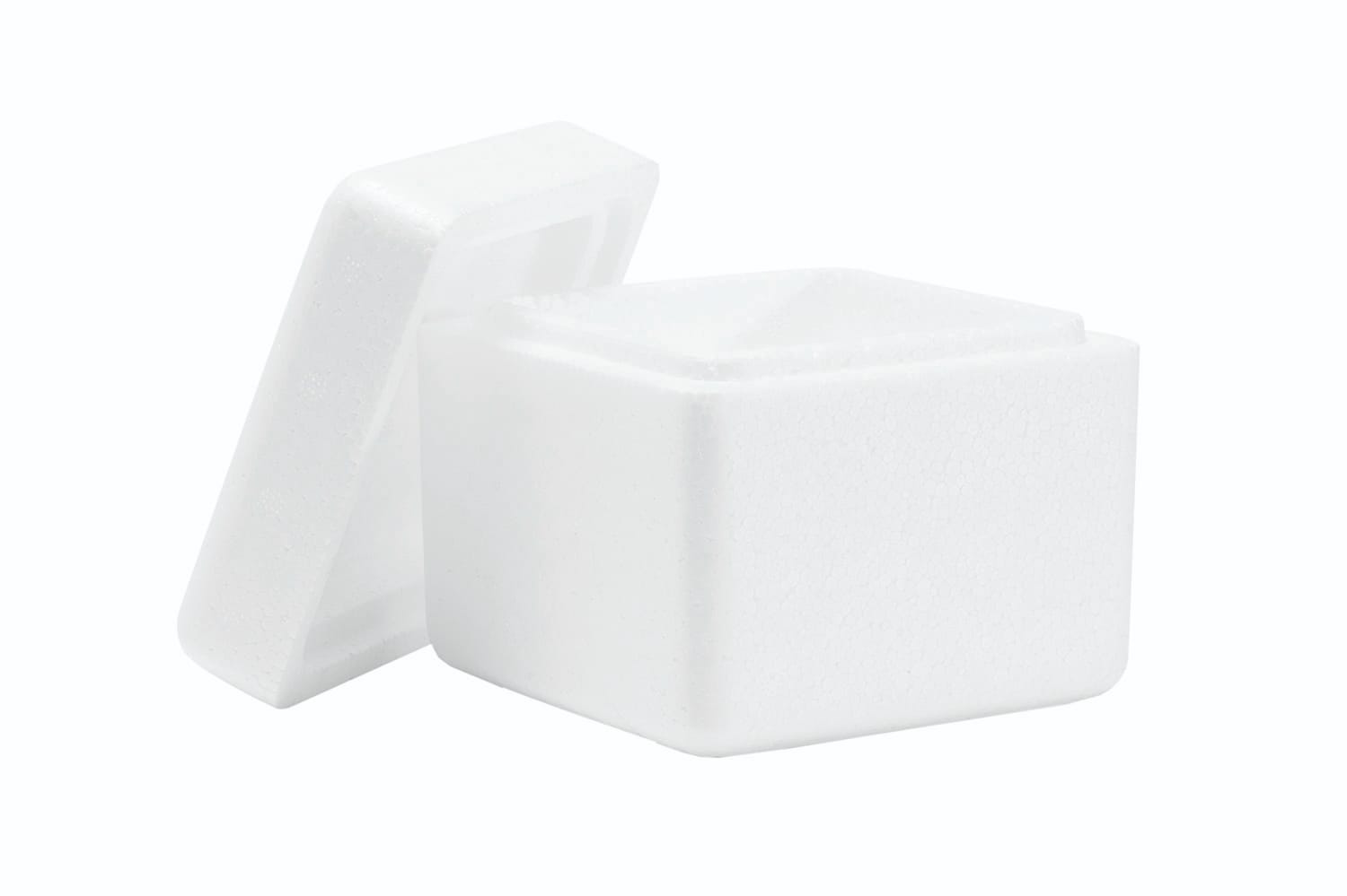 WhatsApp Image 2022-09-16 at 16.53.01