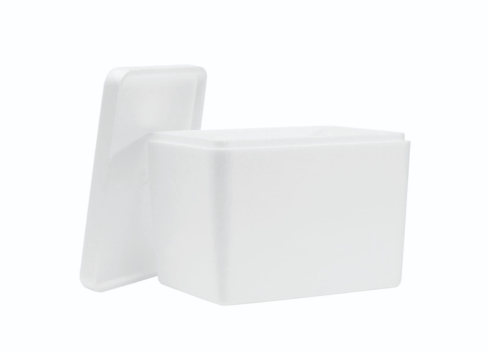 WhatsApp Image 2022-09-16 at 16.55.30