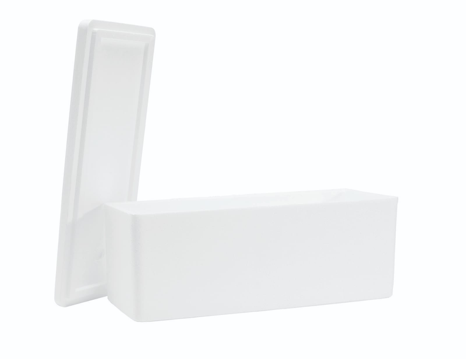 WhatsApp Image 2022-09-16 at 16.56.18