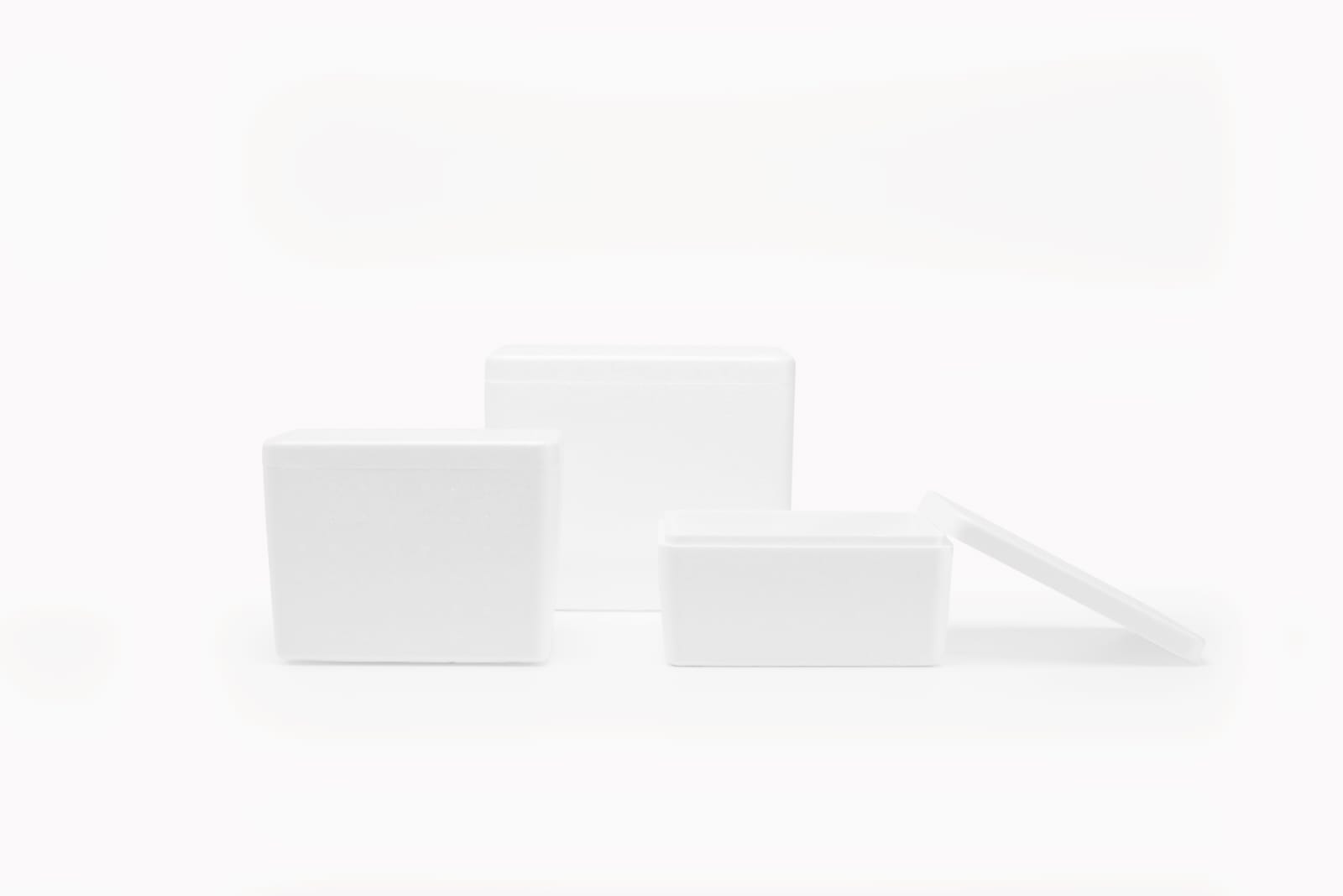 WhatsApp Image 2022-09-16 at 17.01.10