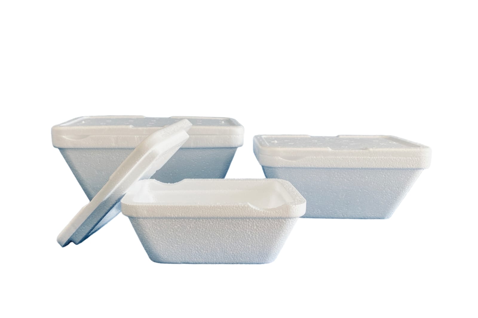 WhatsApp Image 2022-09-16 at 17.02.07